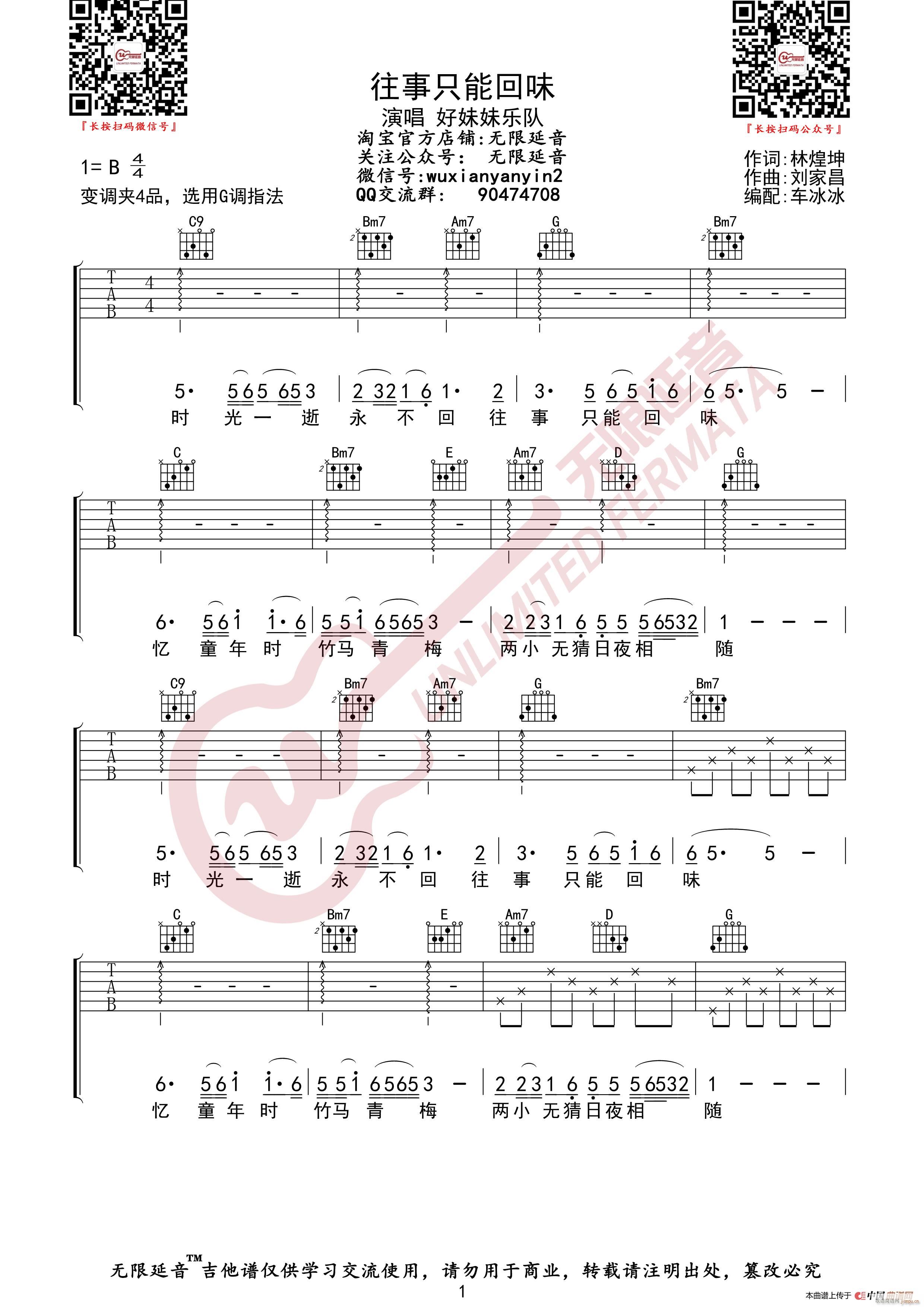 好妹妹乐队 往事只能回味 （无限延音编配）