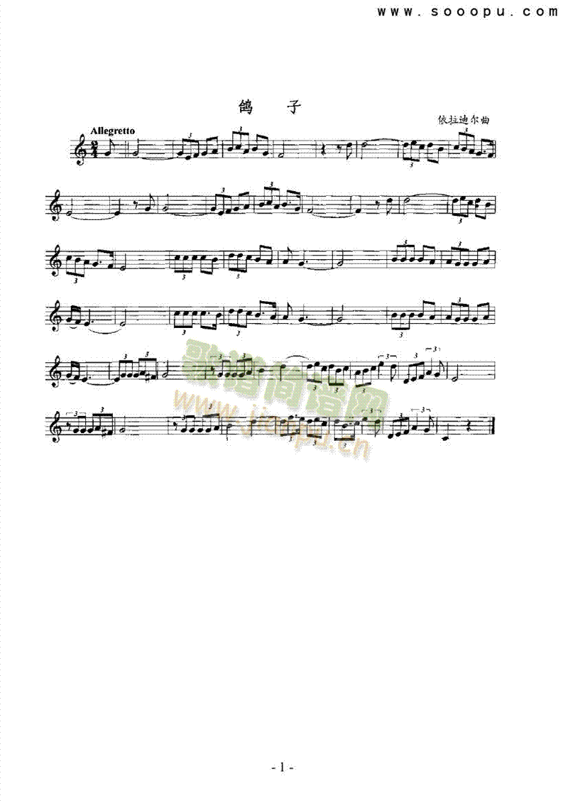 鸽子 管乐类 萨克斯管