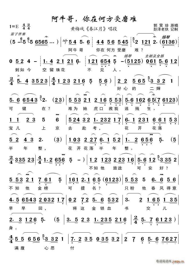 阿牛哥 你在何方受磨难（黄梅戏《春江月》唱段）