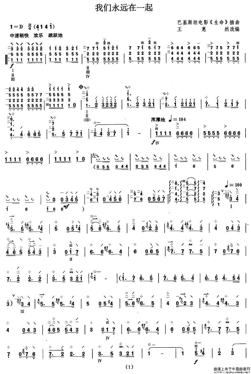 柳琴八级：我们永远在一起