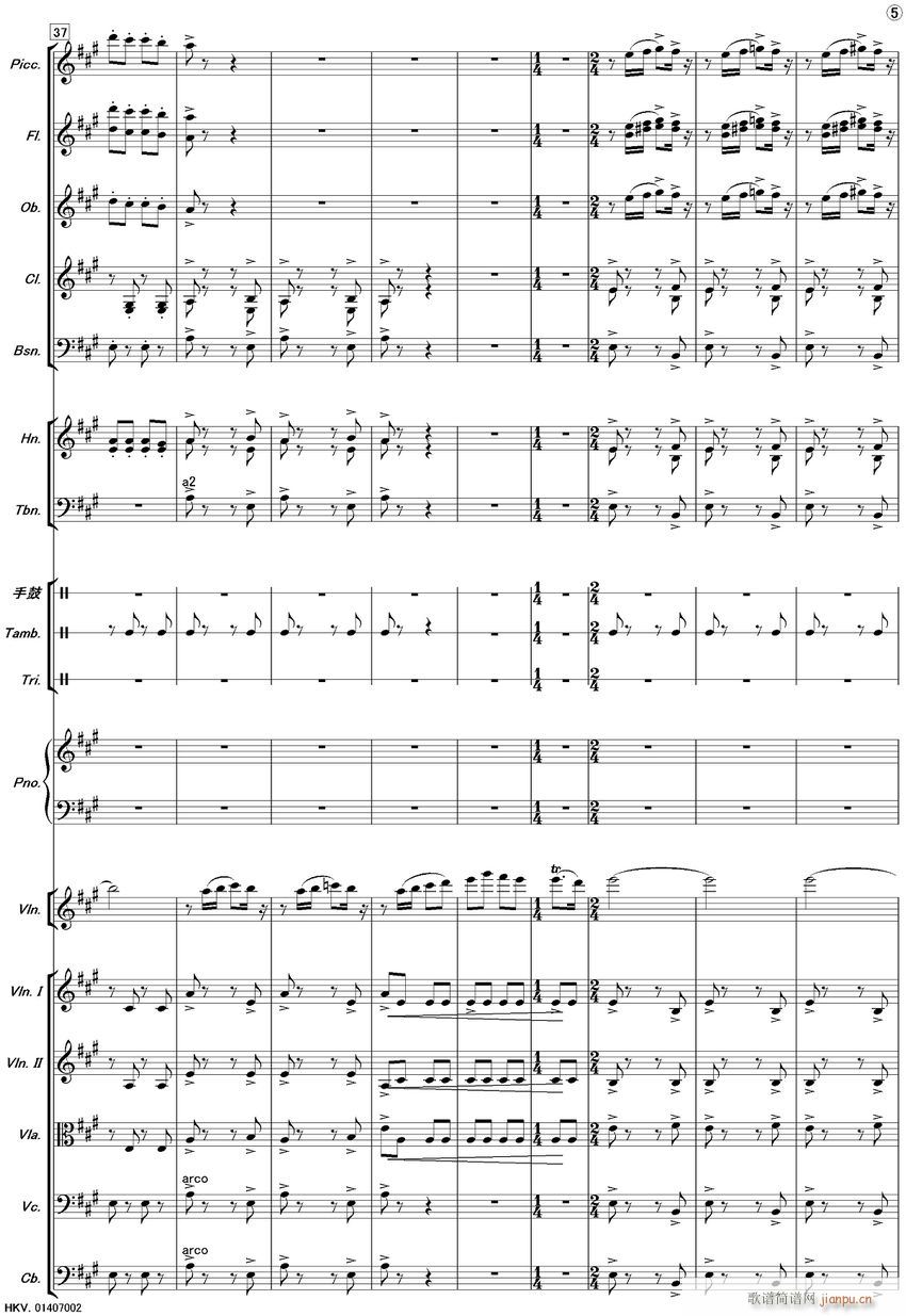 新疆之春（齐奏）5