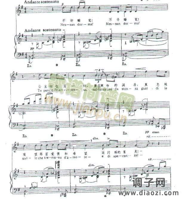 今夜不能入睡  （选自普契尼 歌剧）