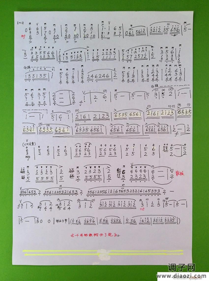 版小提琴独奏 千年的铁树开了花