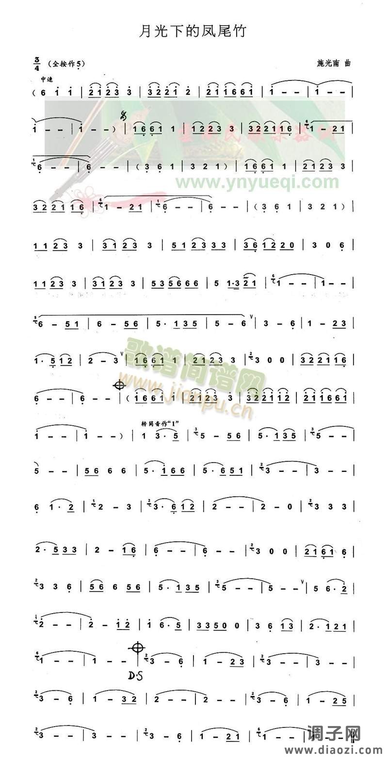 月光下的凤尾竹