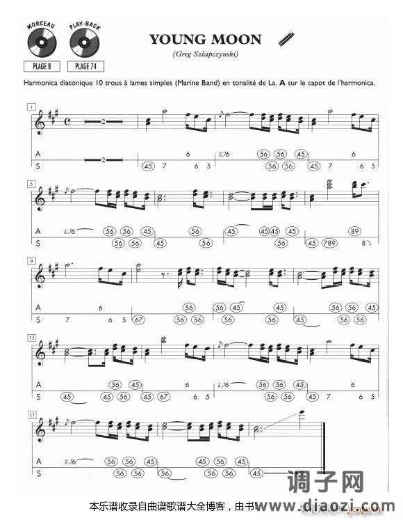 口琴-YOUNGMOON(A调口琴)