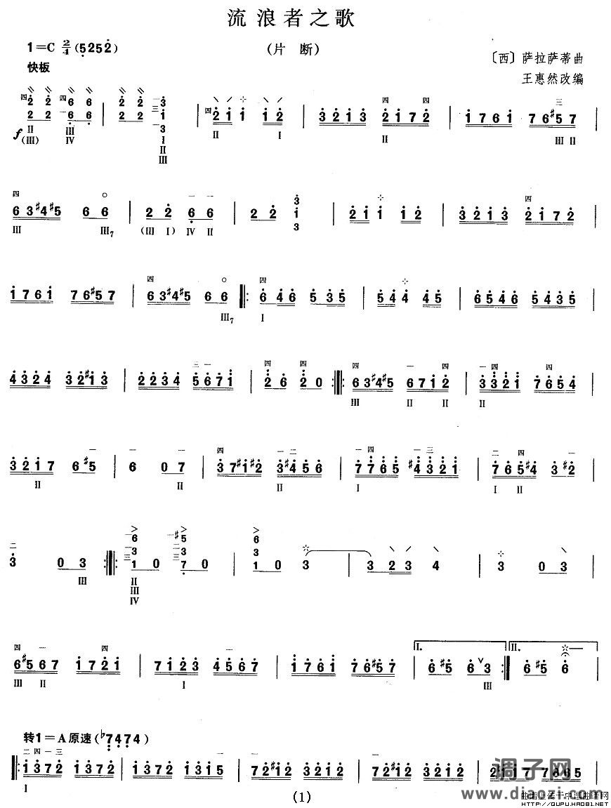 柳琴九级：流浪者之歌