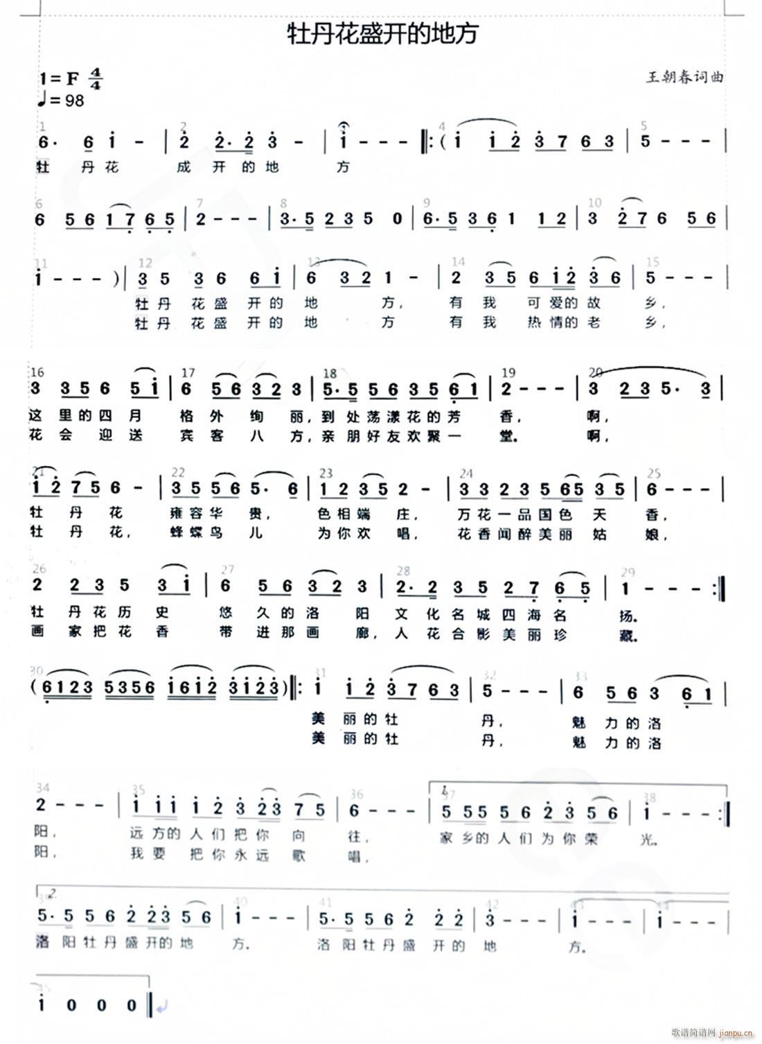 牡丹花盛开的地方