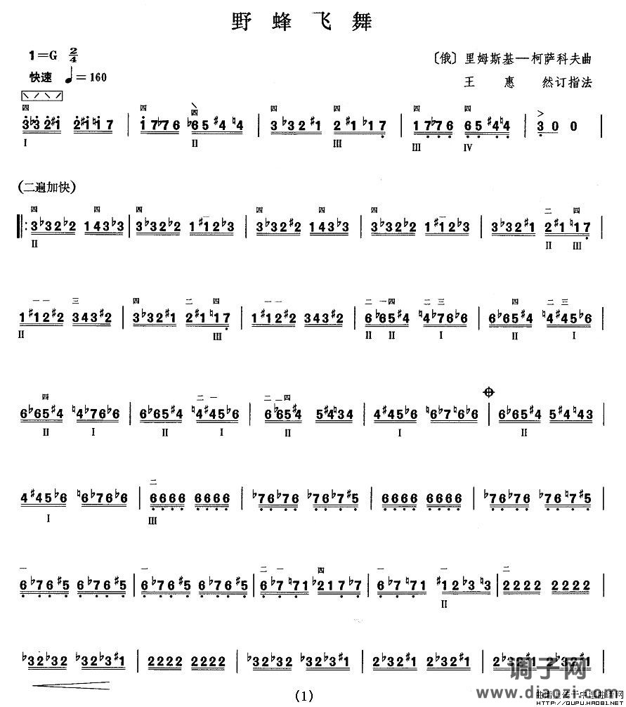 柳琴九级：野蜂飞舞