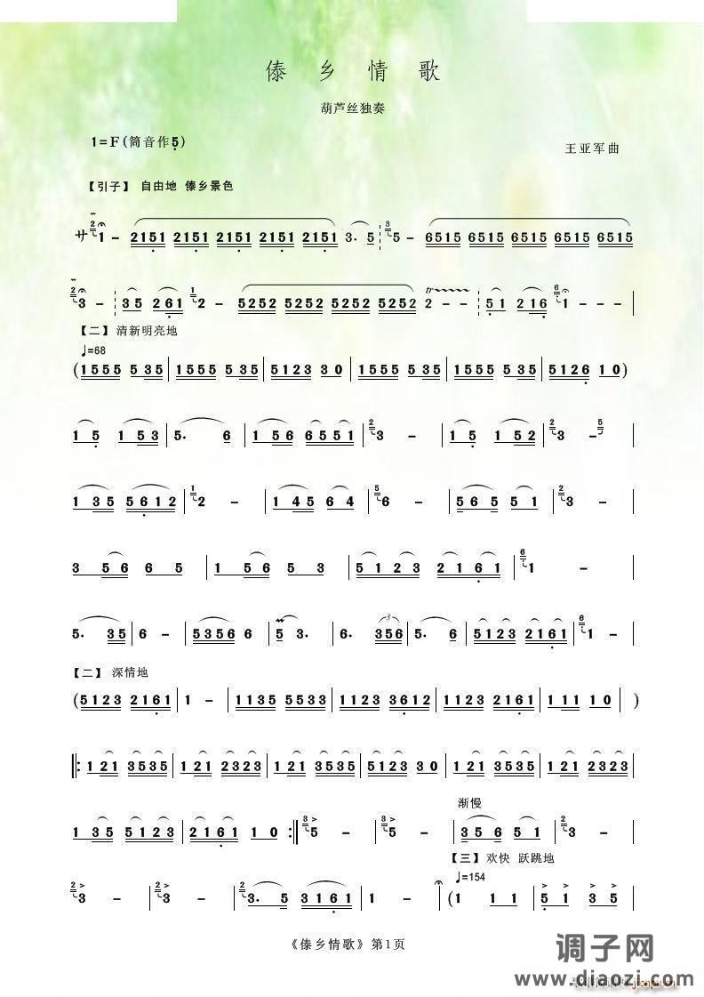 傣乡情歌（葫芦丝独奏）