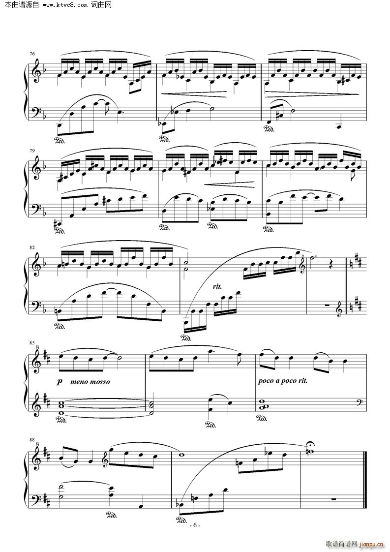 校门口的林荫小道