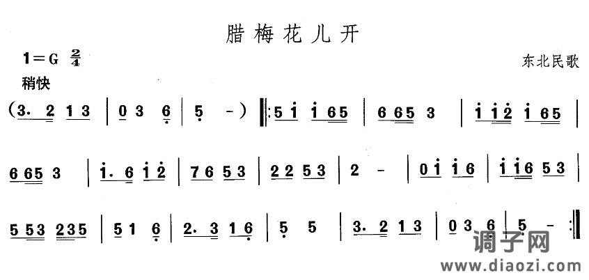 东北秧歌：腊梅花儿开