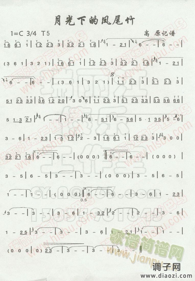 月光下的凤尾竹