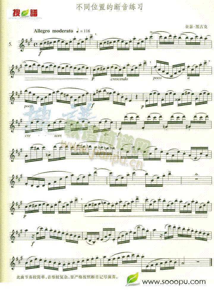 不同位置的断音练习