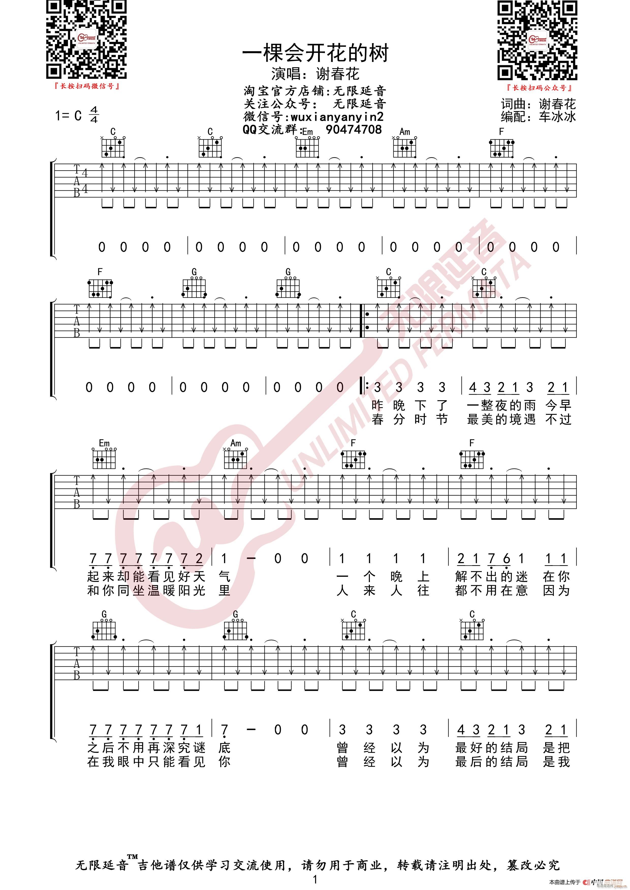 谢春花 一棵会开花的树 （无限延音编配）