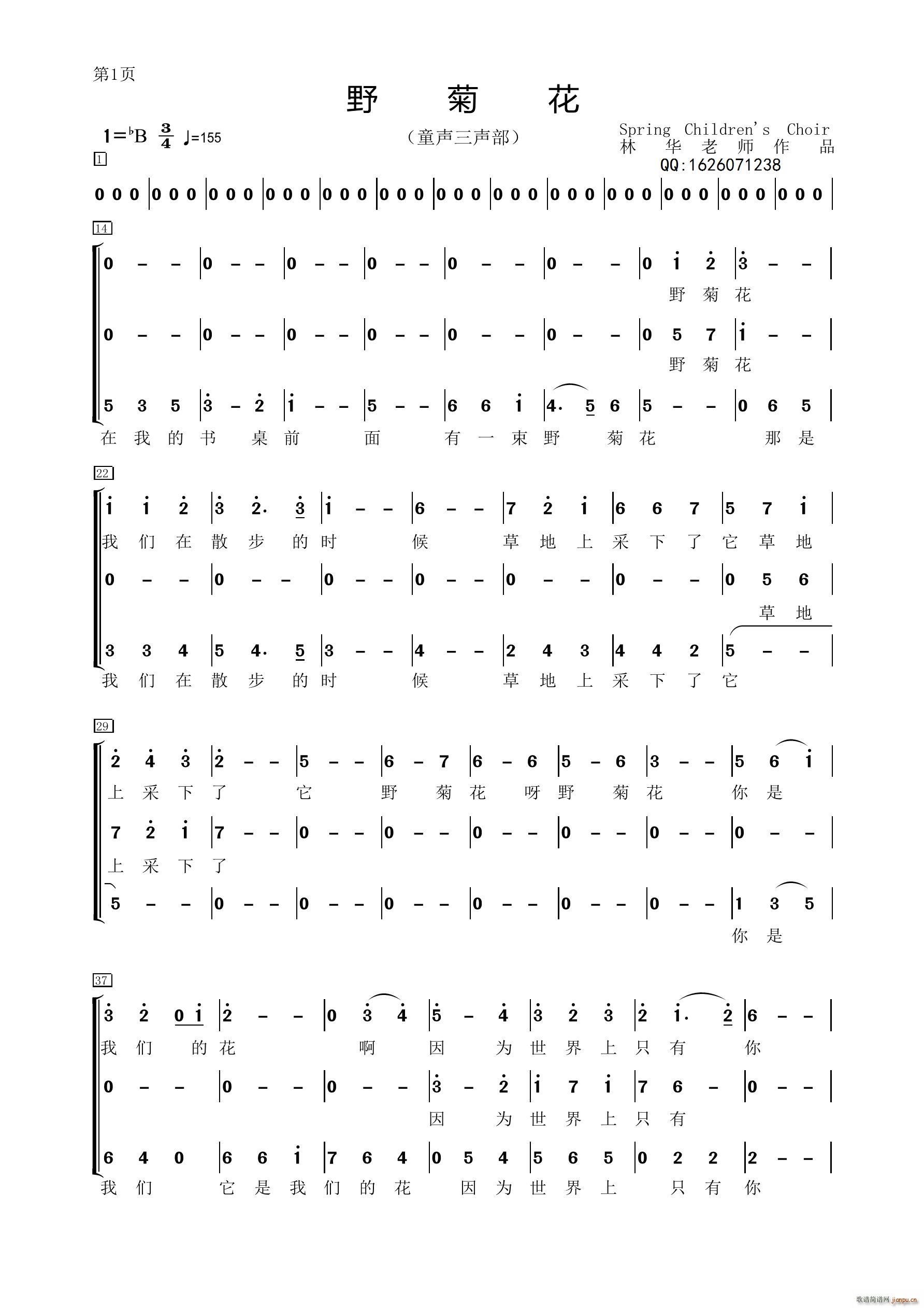 林华老师作品野菊花合唱谱