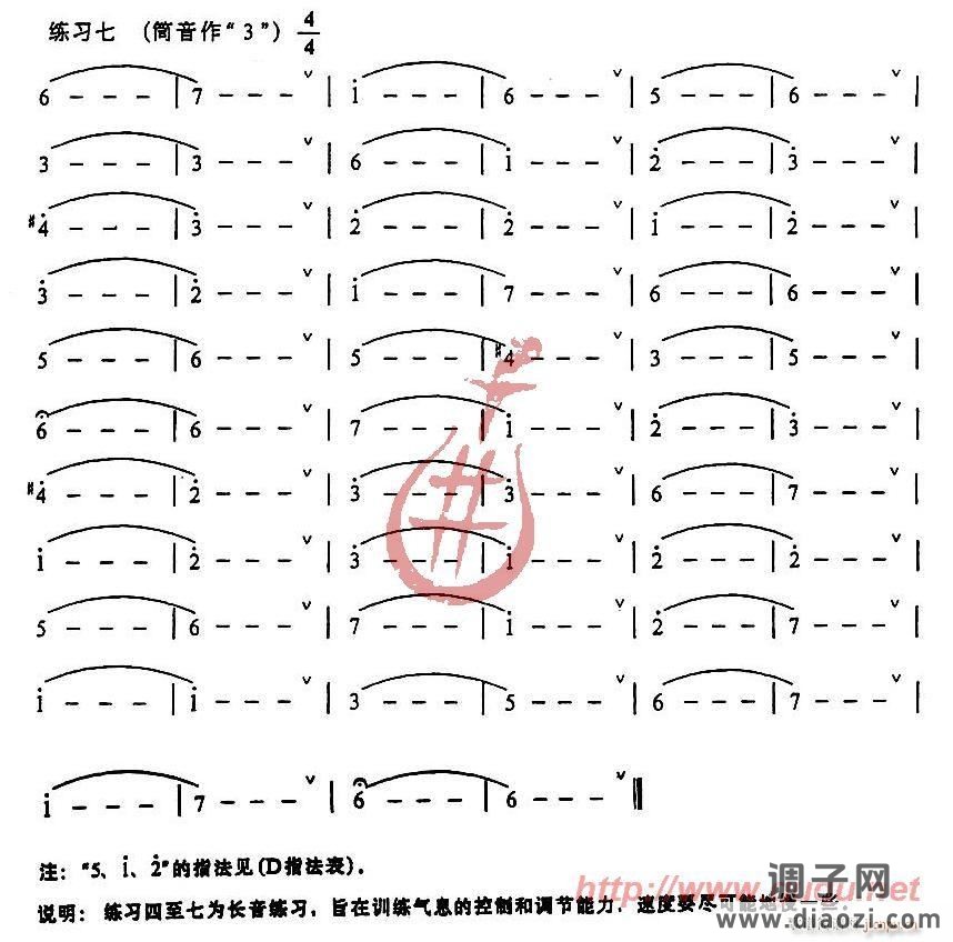 发音、长音及基础练习
