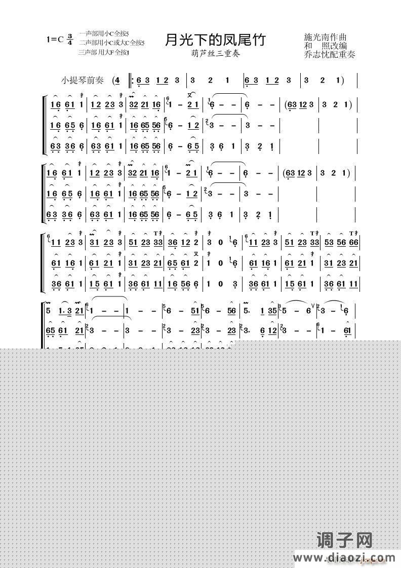 月光下的凤尾竹（三重奏） 葫芦丝等