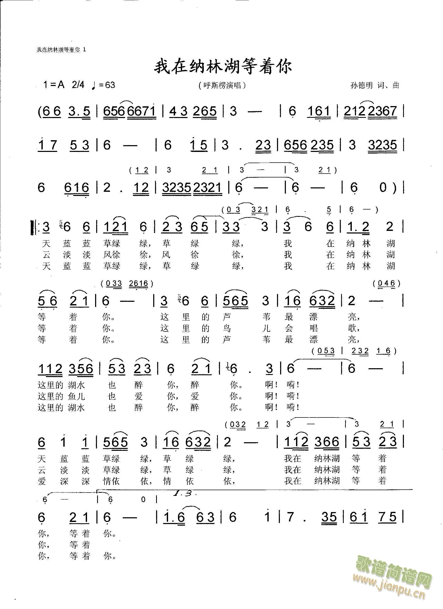 我在纳林湖等着你