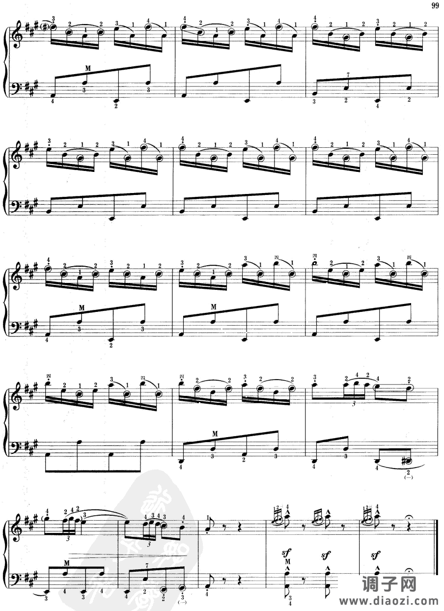 快乐的西班牙骑士