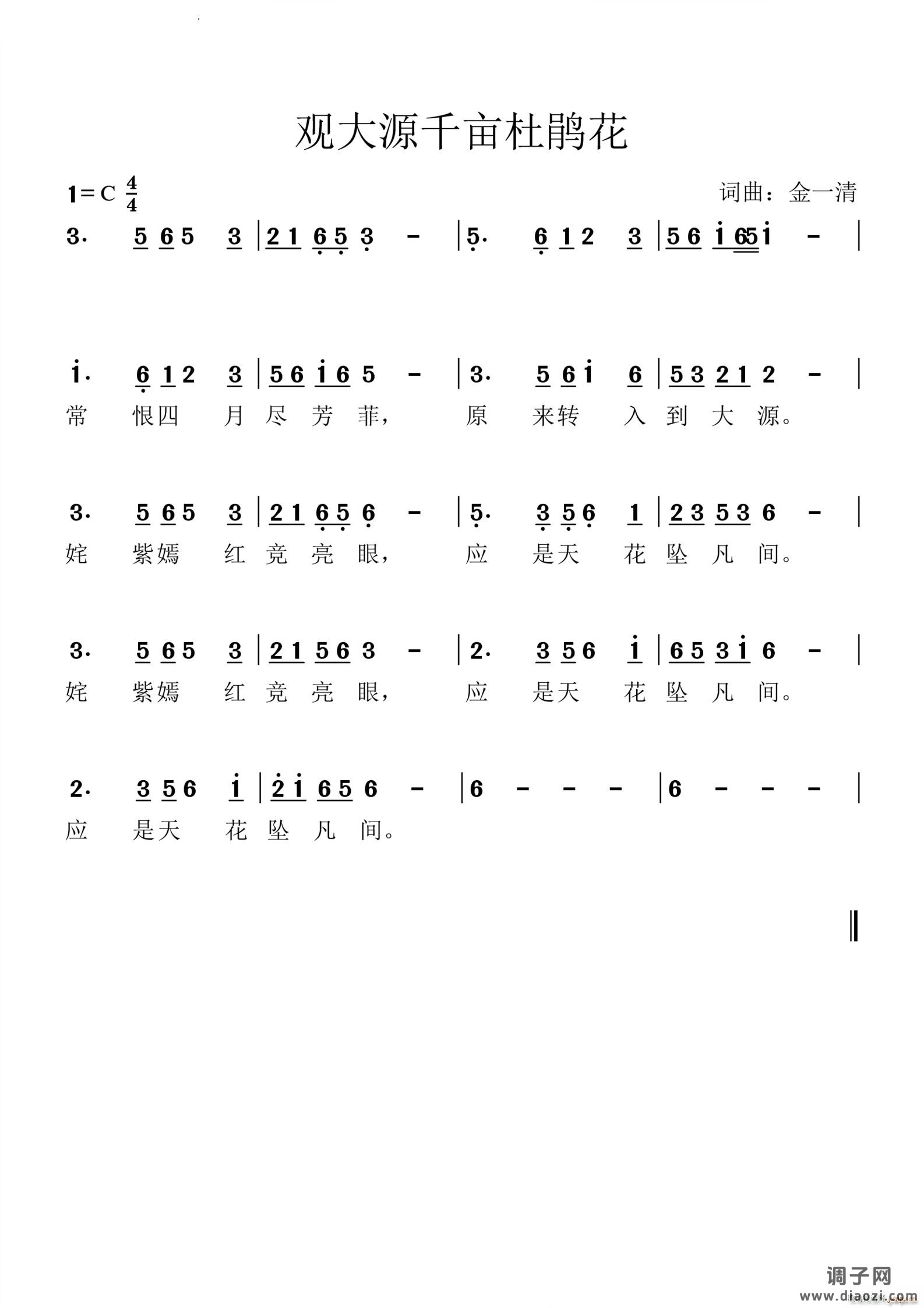 观大源千亩杜鹃花