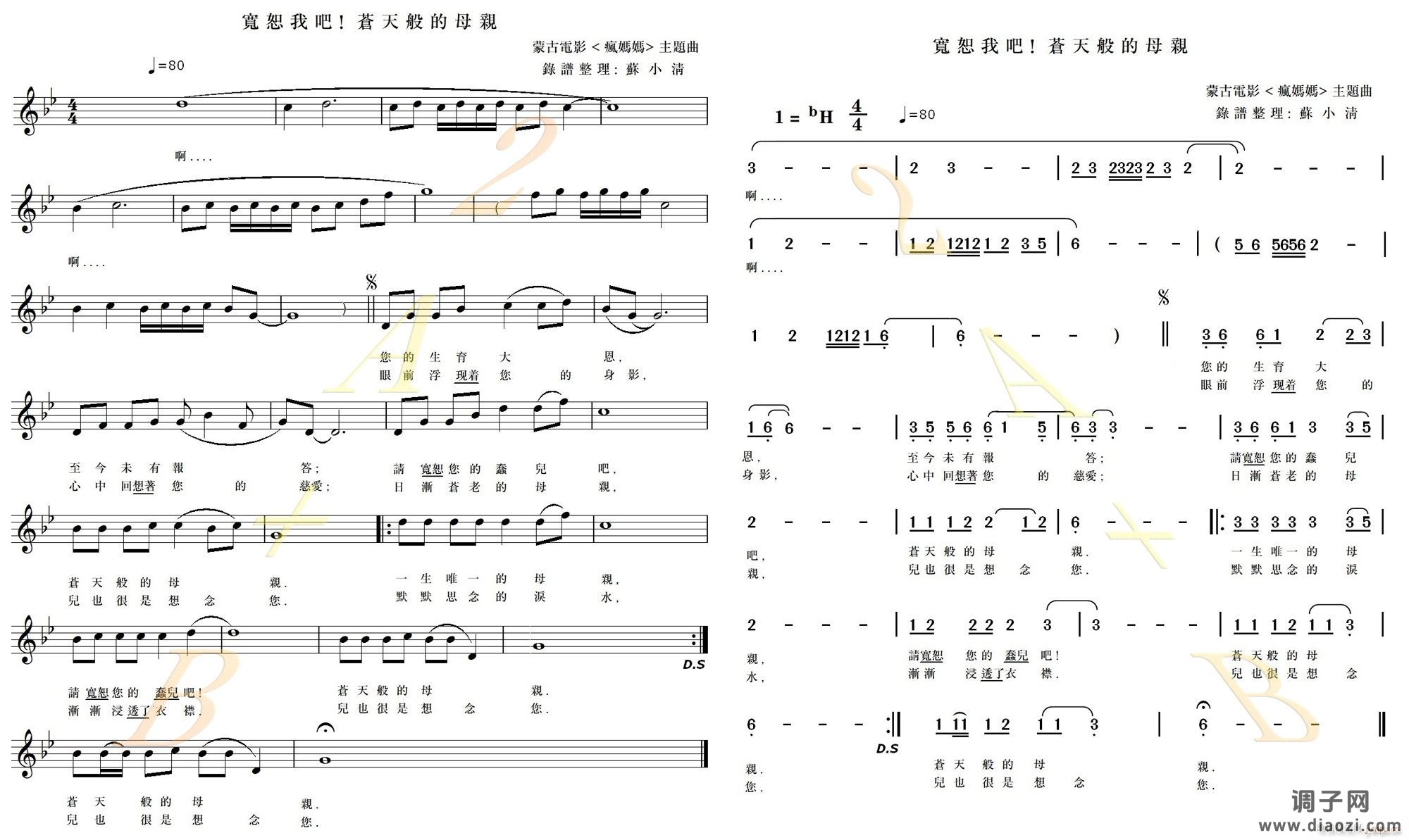 宽恕我吧 苍天般的母亲