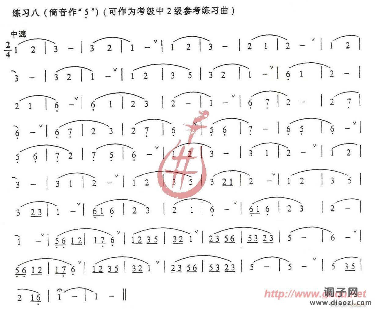 发音、长音及基础练习