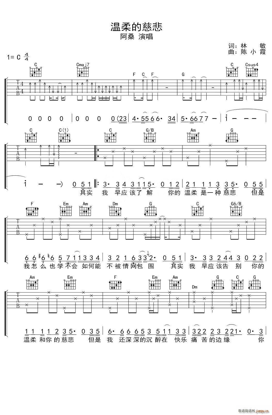 温柔的慈悲 -C调