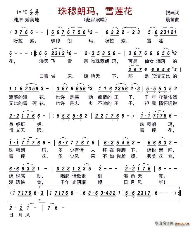 珠穆朗玛 雪莲花