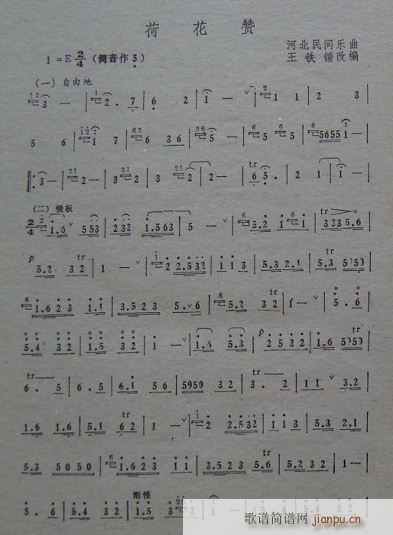 荷花赞（民间乐曲 王铁锤改编）