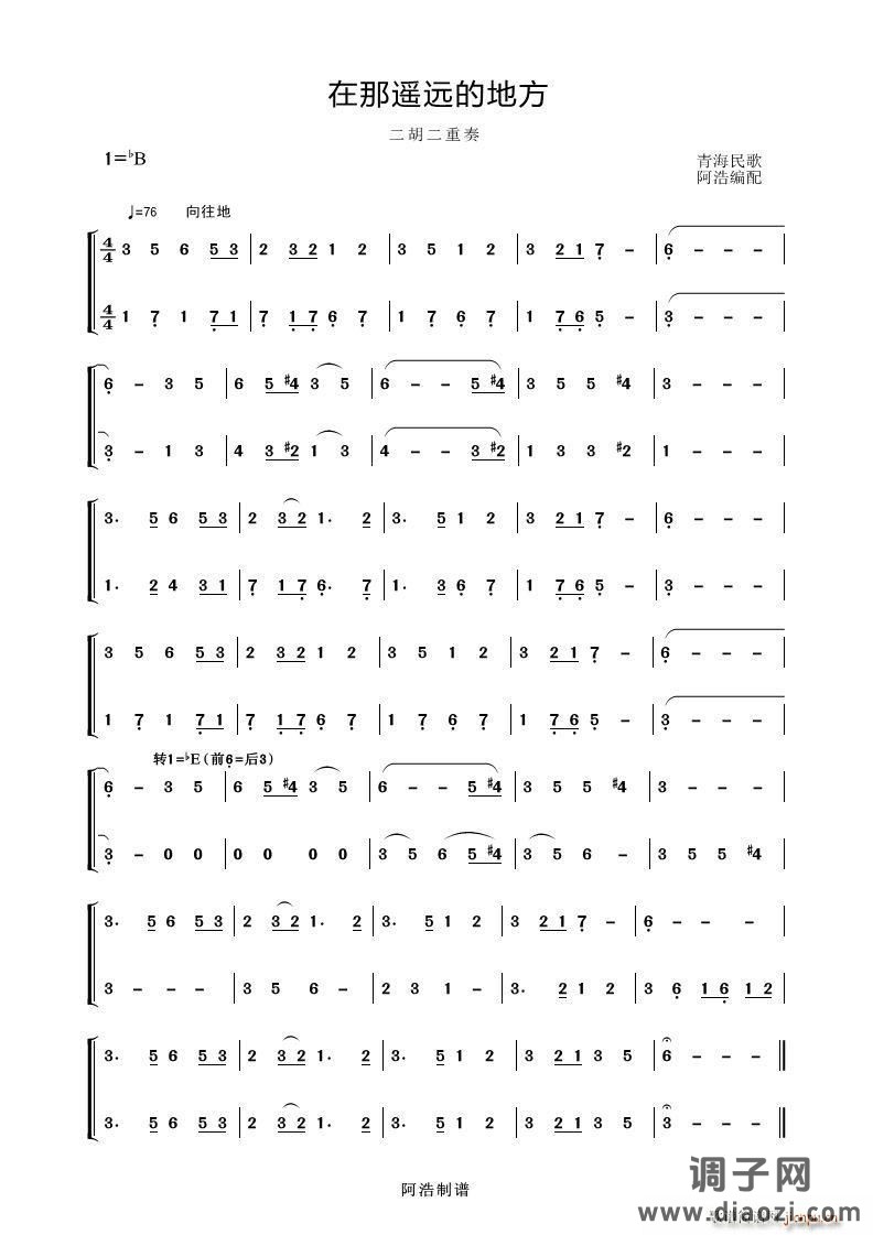在那遥远的地方（二胡二重奏）