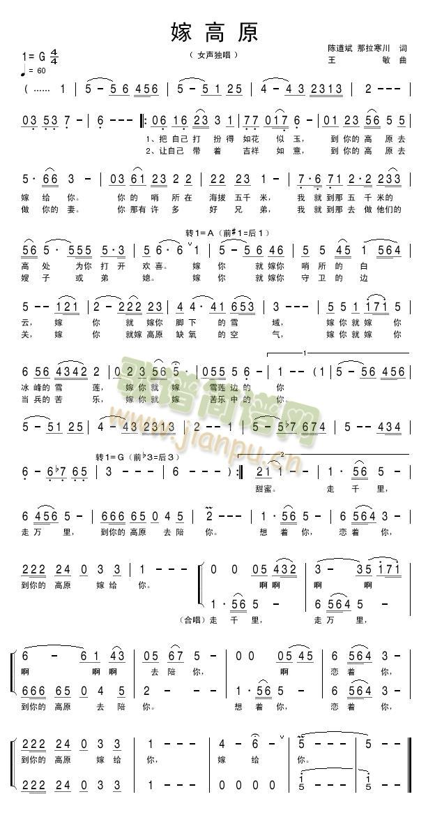 嫁高原(陈)