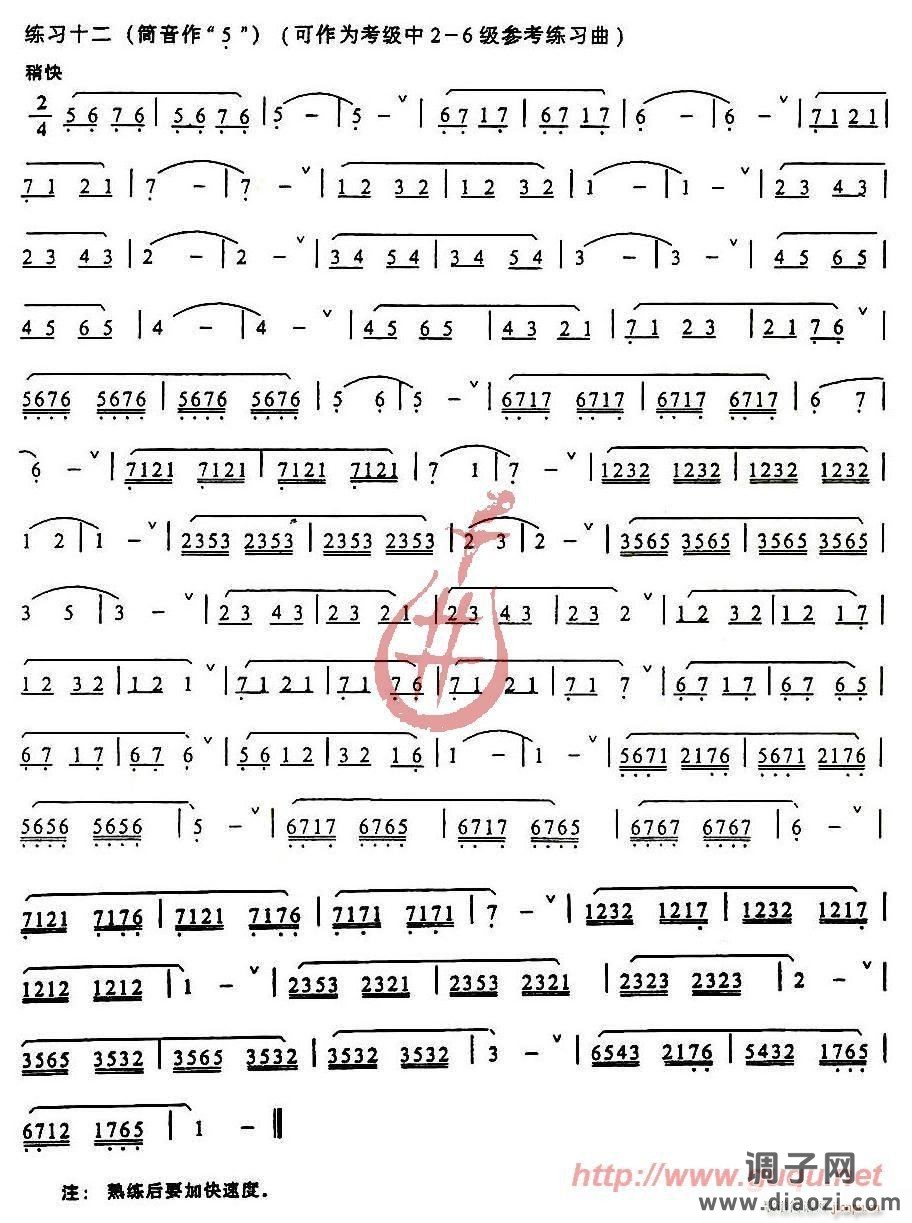 发音、长音及基础练习