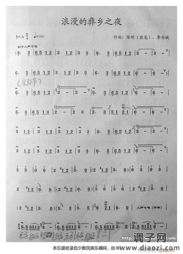 《浪漫的彝乡之夜》葫芦丝