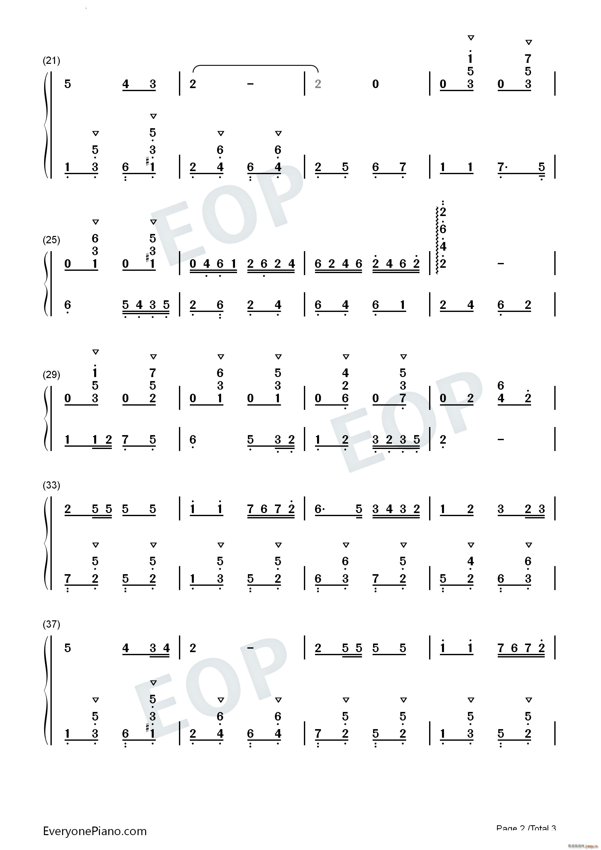 我的花儿 My Flowers