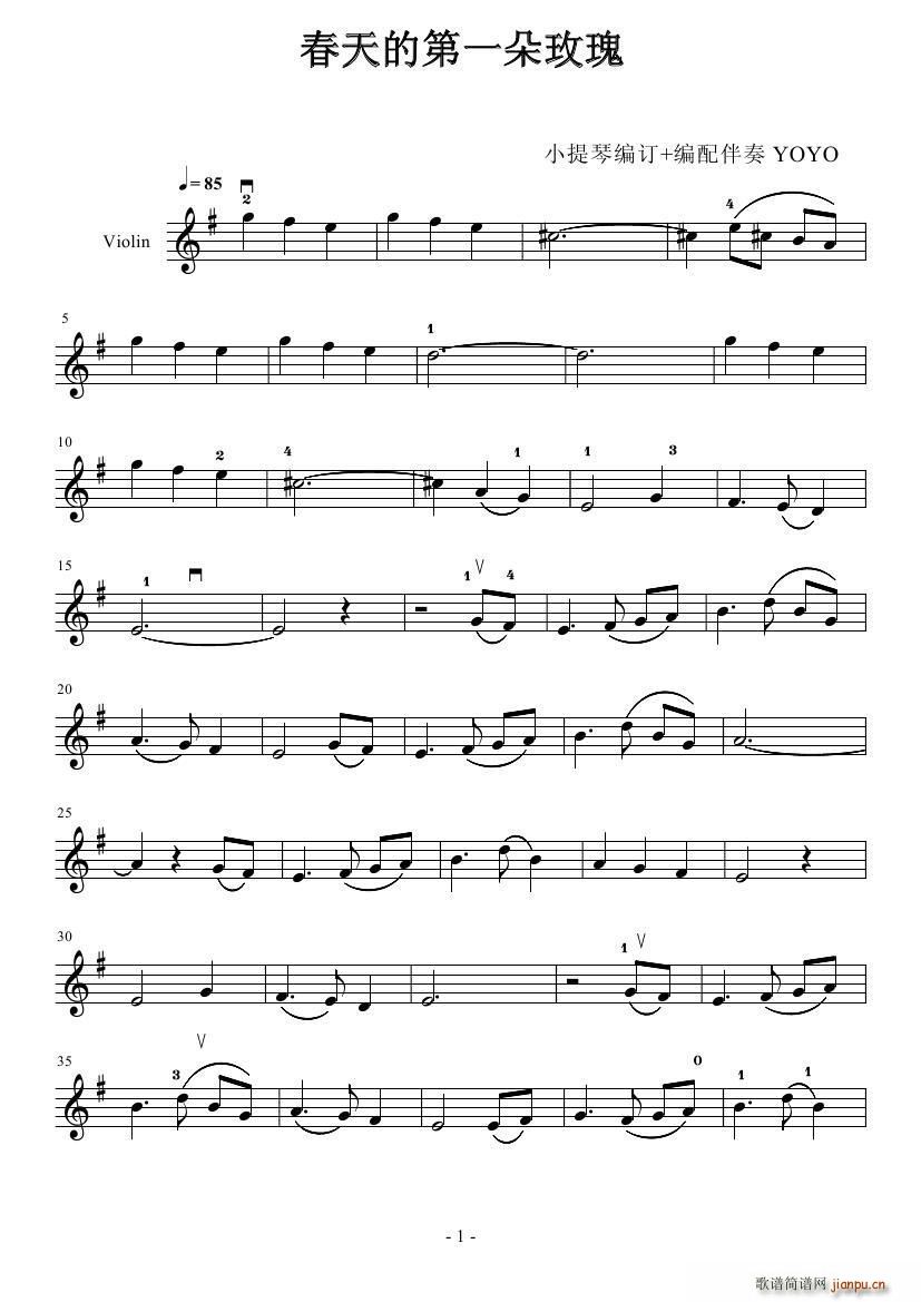 春天第一朵玫瑰