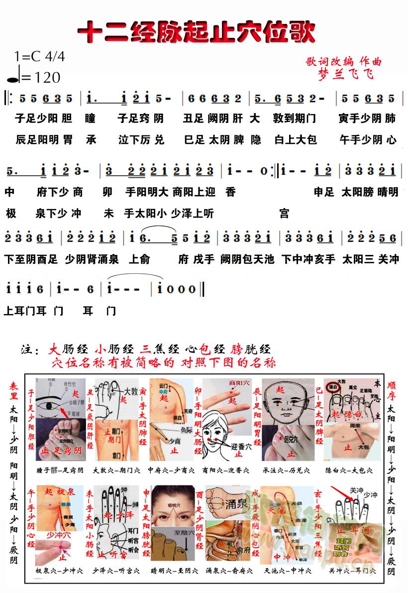 十二经脉起止穴位歌