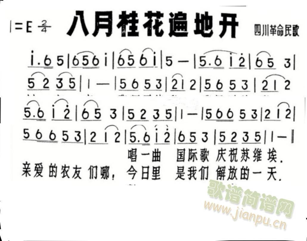 八月桂花遍地开