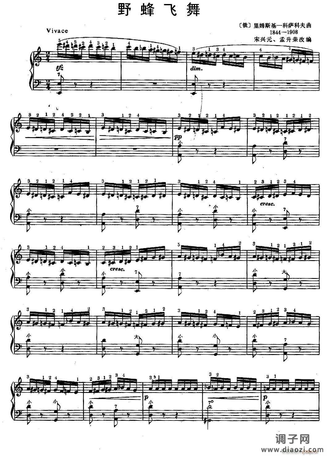 野蜂飞舞（宋兴元改编版）